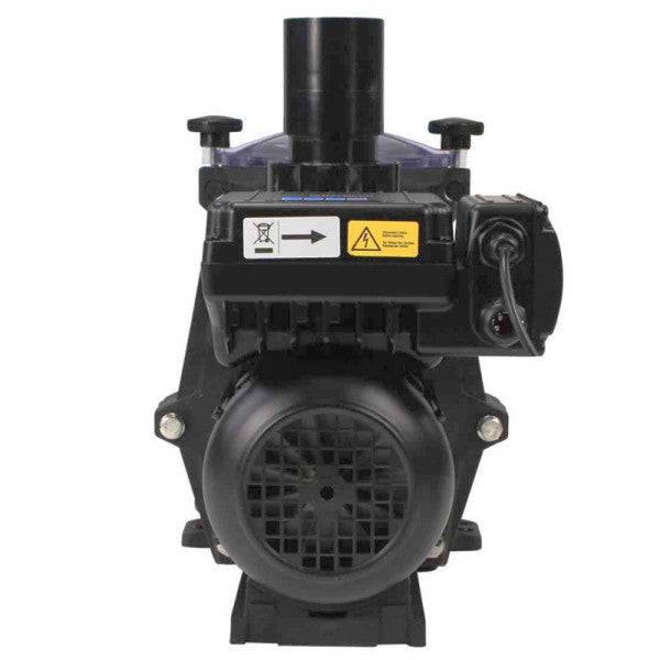 Hayward RS II® VS TD filtration pump