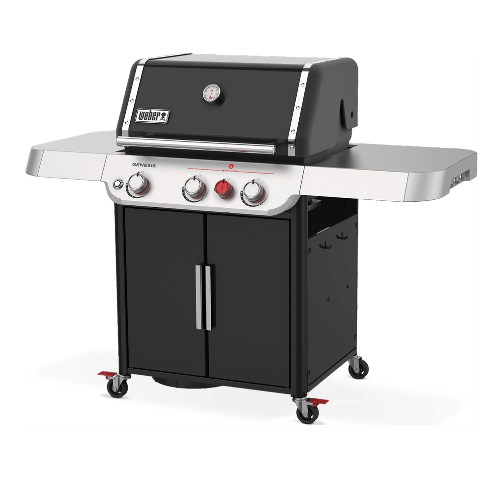 Genesis E Gasgrill