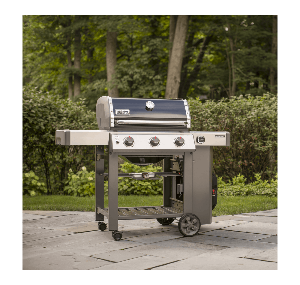 Genesis II Gas Grill