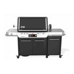 SUMMIT FS38X gas grill