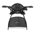 Weber Q 2200 gas grill