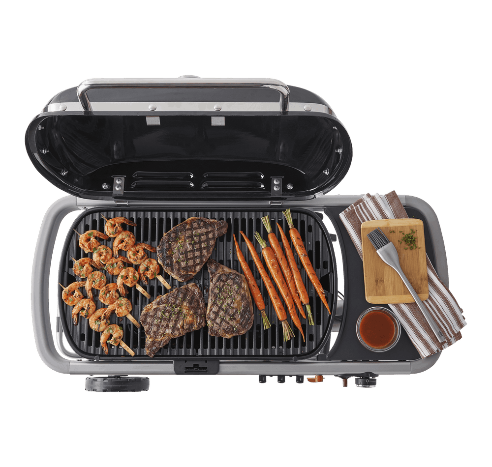 Weber Traveler Gas Grill